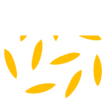 waste-grains